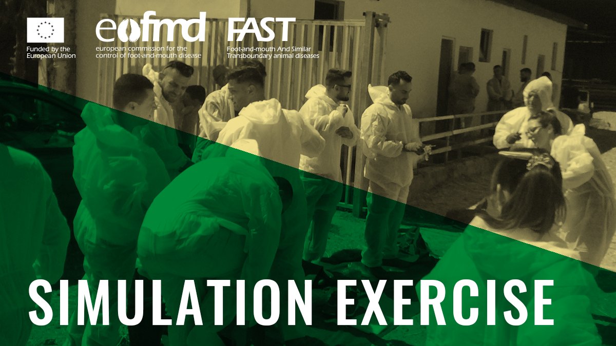 Eufmd's tweet image. #RiftValleyFever (RVF) can affect a variety of species, including ruminants and camels, causing high mortality in young animals and/or abortions in adults. 

An RVF #simulationexercise will be launched for #Portugal to test the contingency plan.
bit.ly/3k0dwn3
#OneHealth