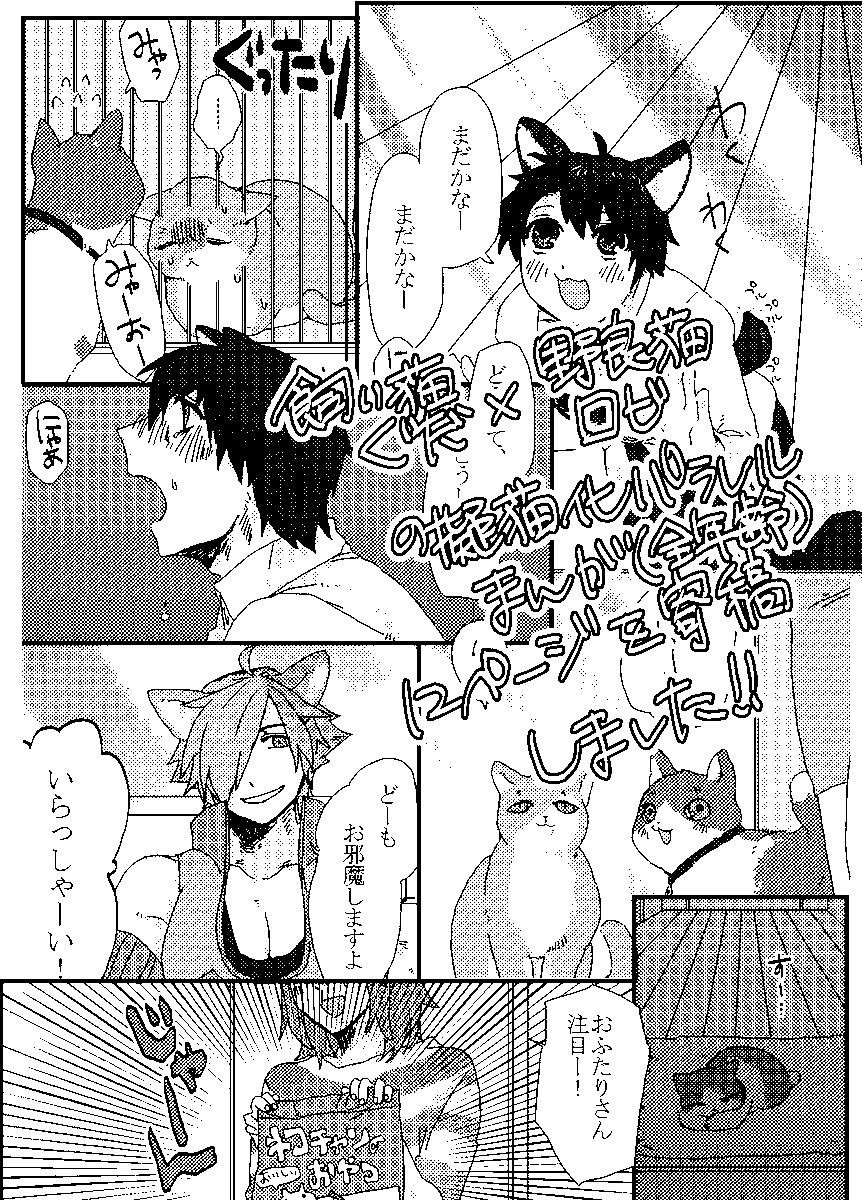 GDRB fes! 4 記念アンソロジーに寄稿させていただいたネコチャンパラレルです!
#GDRBfes4 