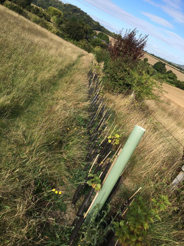 ChilternsNL's tweet photo. New blog alert. With #COP26 negotiations still ongoing this week, find out how a group of proactive #Chilterns #farmers are working to lower their carbon footprints, improve soil health &amp; plant more #hedgerows. 

https://t.co/by8dslm3X2

#carbonsequester #regenerativefarming https://t.co/znWs8Ms2s7