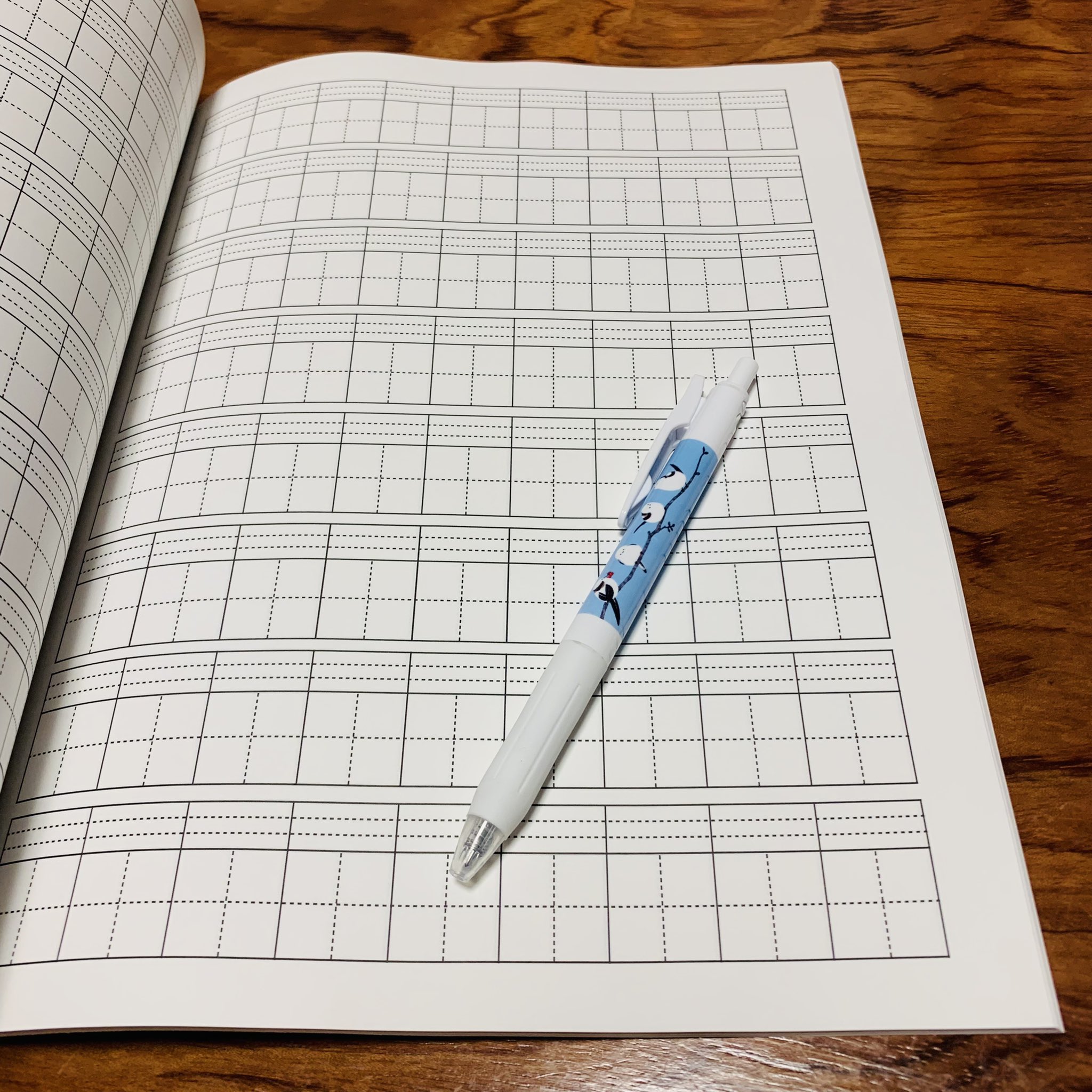 Ayanatsu Zuoteng 漢字とピンインも一緒に書ける 拼音田字格练习ノートを買ってみました 可愛いしピンイン書くのにも適してますが ひとマスが小学1年生とかが使うくらいのデカさなので 大人が使うにはちょっと違うみたいです 笑 単語とか練習する時