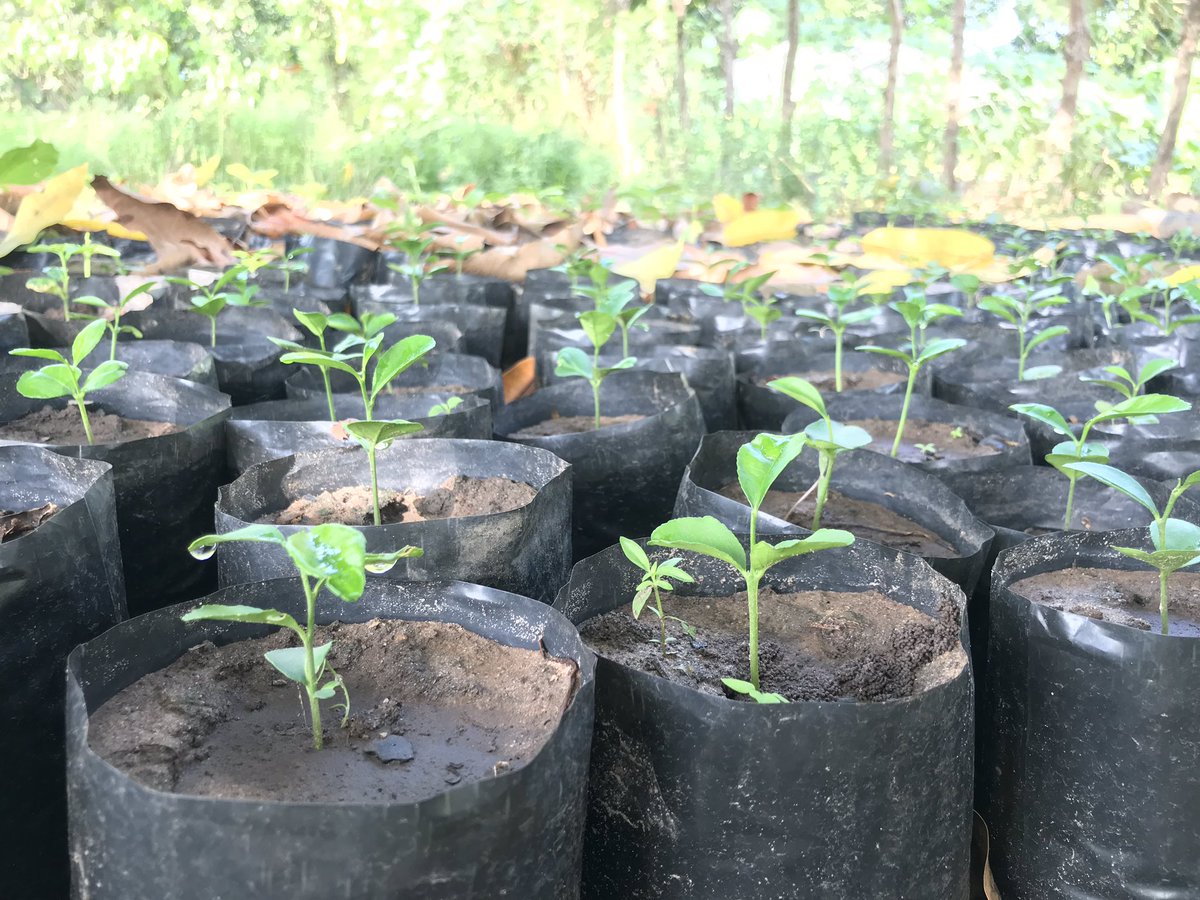 ST Foundation tweet media