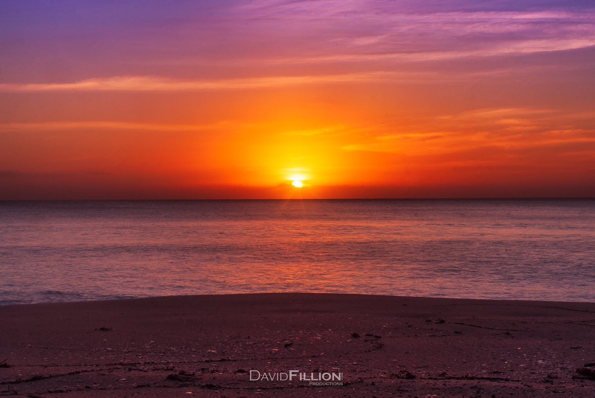 Golden Hour over the Beaches of Cancun, Mexico🌅

#goldenhour #sunrise #cancun #cancunmexico #mexico #earlyriser #carribeansea #atlanticocean #travel #travelgram #beachshoot #beachlife #photograghy #sonyalpha #a99ii #SonyAlphasClub #sonyImages #alphacollective #dfproductions