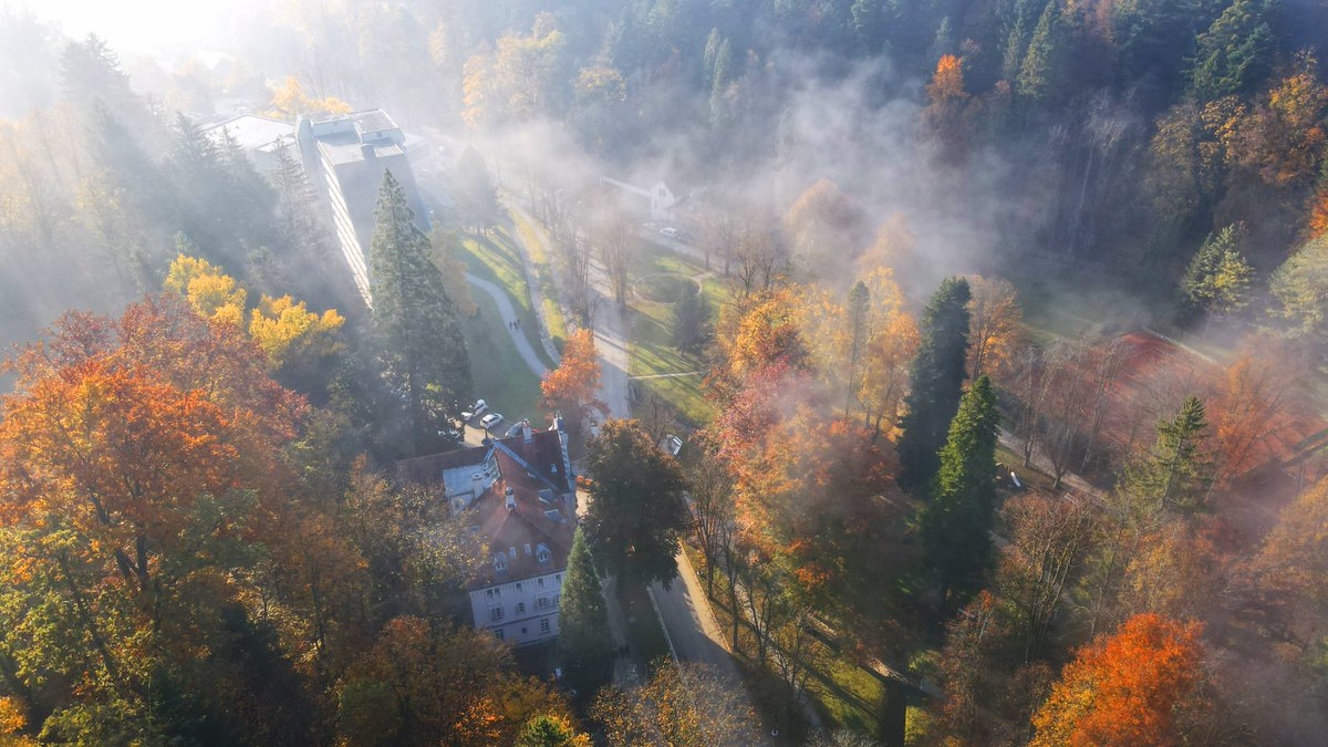 Čarobnost jesenskih barv Zdraviliškega parka Dobrna ujeta z dronom 🌫🍂

#naturelover #zdraviliškipark #sprostitev #relaxation #zdravje #health #termalnavoda #thermalwater #od1403 #since1403 #visitdobrna #termedobrna #dobrna #autumncolors #autumnvibes #fall #thermalspa