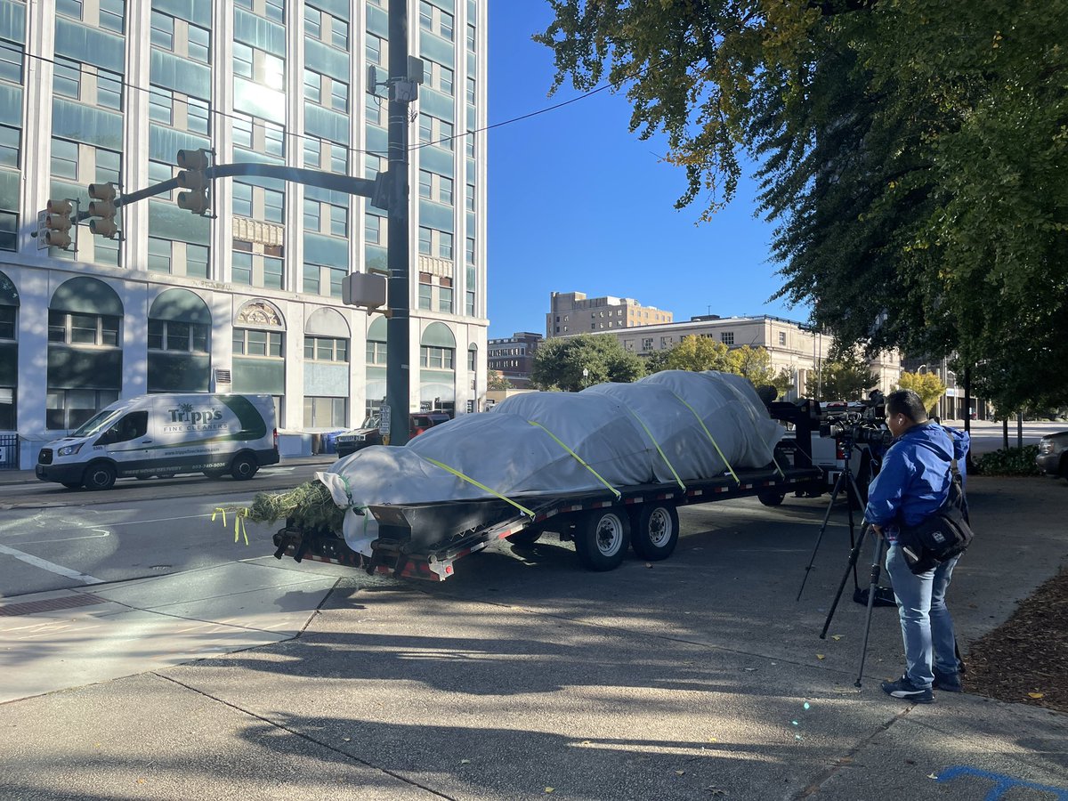 mikks (@mikksdfeelings) on Twitter photo The 35-foot-tall concolor Christmas tree has just arrived to the North Lawn of the SC State House grounds. Timbertech is preparing to stand it up! <a href="/USCCarolinaNews/">USC Carolina News & Reporter</a> The 35-foot-tall concolor Christmas tree has just arrived to the North Lawn of the SC State House grounds. Timbertech is preparing to stand it up! <a href="/USCCarolinaNews/">USC Carolina News & Reporter</a>