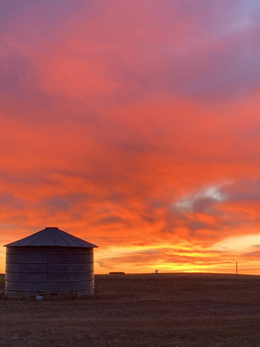 Can’t beat these Saskatchewan sunrises #LandOfLivingSkies #Saskatchewan #RanchLife #PavloffCattleCompany