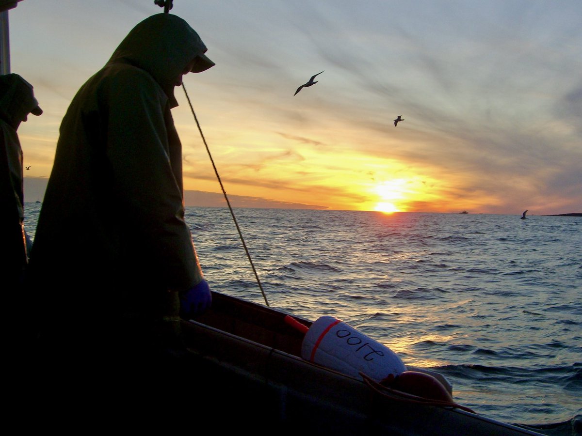 Wishing a beautiful trap setting day and a safe and prosperous lobster season to friends on the Atlantic coast!

#fisheries #canada #workingwaterfront