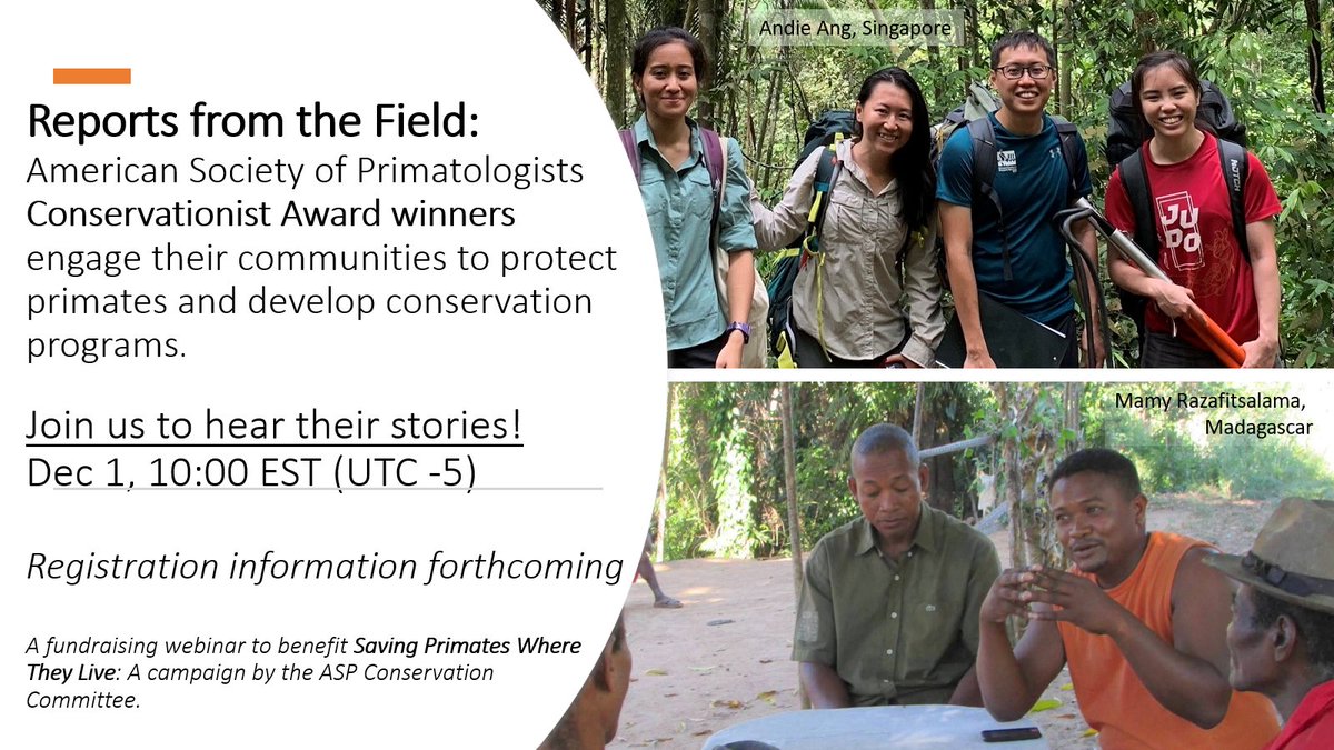 The ASP Conservation Committee is holding a fundraising webinar featuring past Conservationist Award winners, host country primatologists making a difference and saving primates where they live! 

Join us and support this effort, Dec.1 at 10:00 ET!
givebutter.com/SavingPrimates
