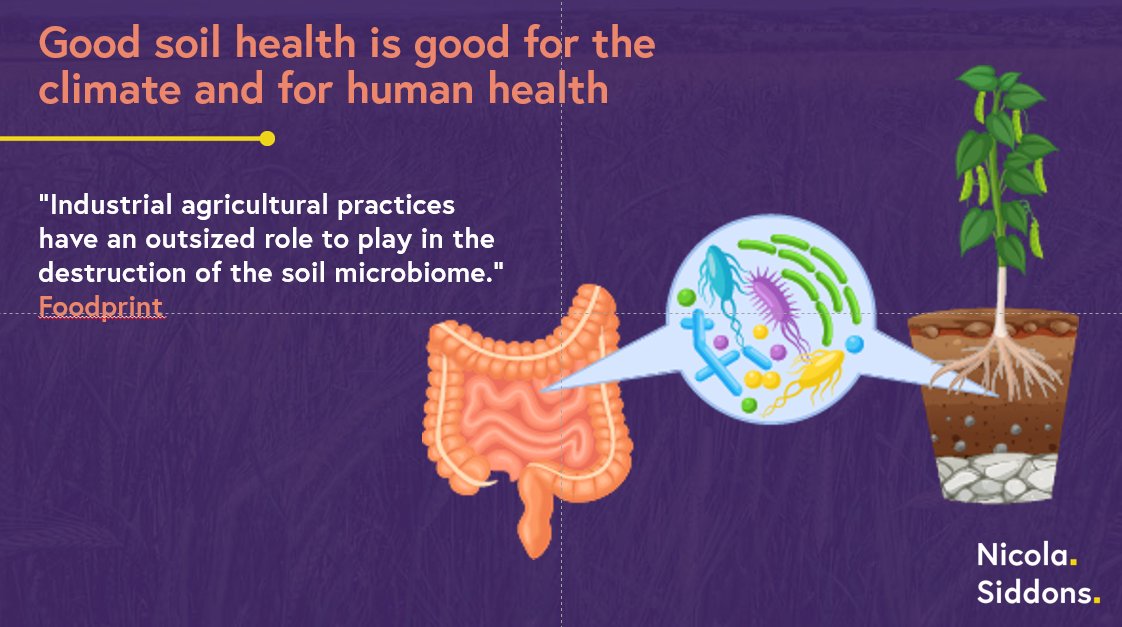 NicolaSiddons's tweet photo. Thanks to everyone for attending the talk today on food, nutrition and climate with @Quorn_nutrition 
Great paper &amp; blog post here on the relationship between soil health and human health
https://t.co/1wANk0RDKo
https://t.co/GQm3ppOac7
#QuornCarbonLiteracy @hooleil @foodprintorg https://t.co/5bbzDaWiWU