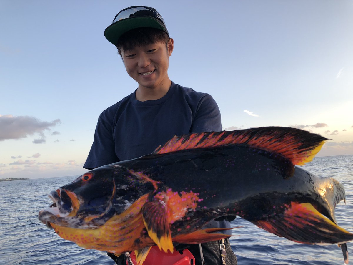 AnazawaHayate's tweet photo. 海から錦鯉が釣れました🤯 https://t.co/3x3tQgVGr8