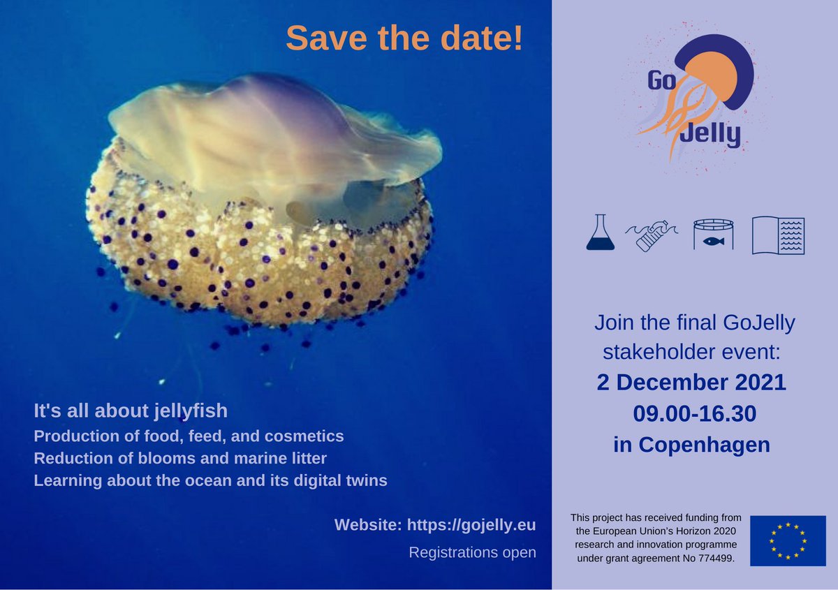 As the project is approaching its end🔚, we are inviting you, our precious stakeholders 🤝to our final event in Copenhagen, Denmark🇩🇰 to see what we have done and where our future research and innovation is taking us!
📅2. December
⏱09-16:30
🌐gojelly.eu/portfolio-post…