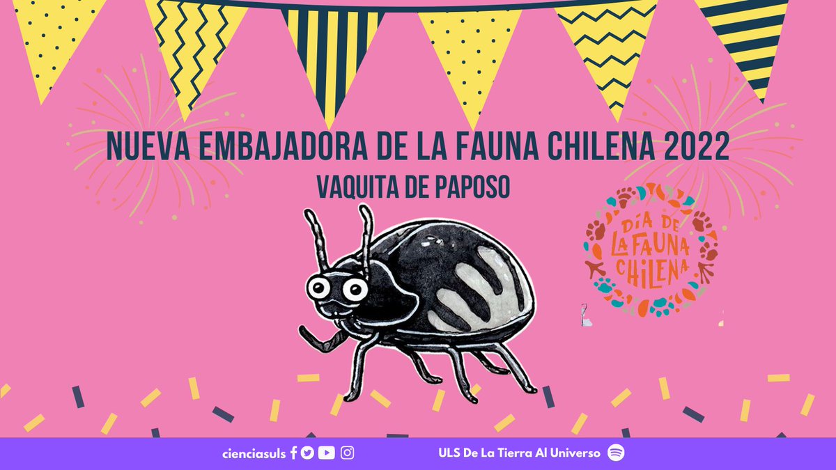 De La Tierra al Universo-Facultad de Ciencias #ULS tweet media