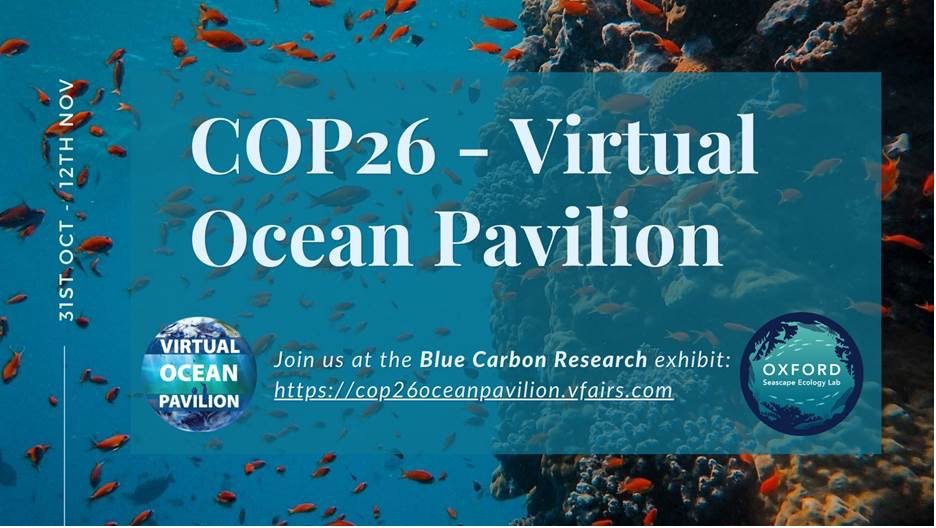 Research led by former COS Research Associate <a href="/lisamwedding/">Dr Lisa M Wedding</a>, @erichartge and <a href="/NatCapProject/">Natural Capital Project</a> is featured at the UN Climate Conference #VirtualOceanPavilion!

To find out about our #bluecarbon science &amp; #OceanClimateAction, register for free: cop26oceanpavilion.vfairs.com #COP26