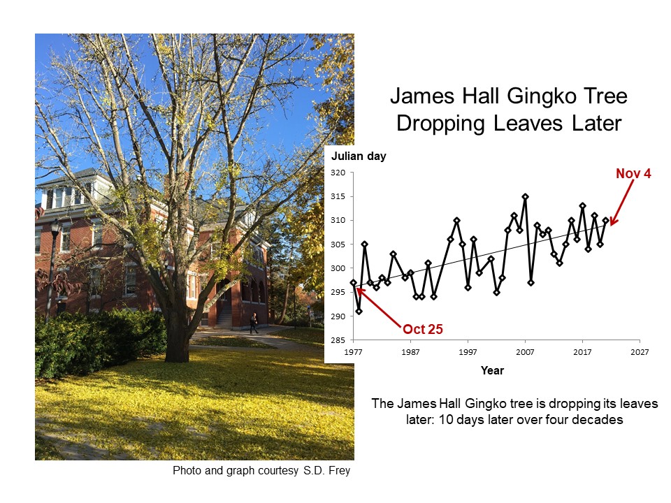 seritafrey tweet media