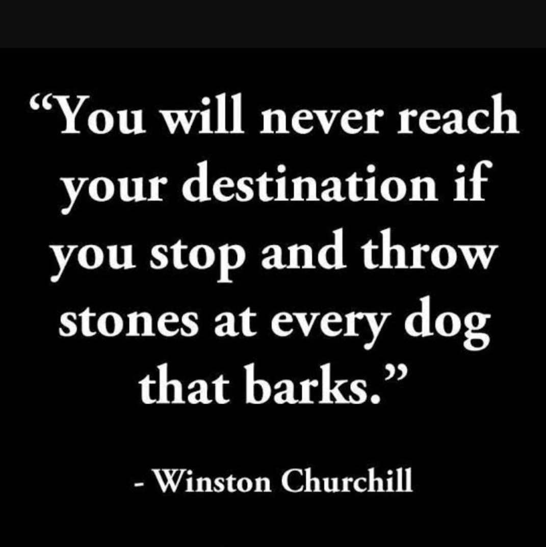 The_Justice_Bot's tweet photo. You Will Never Reach Your Destination if You Stop and Throw Stones at Every Dog That Barks.

SUSHANT D BEST GIFT TO SSRIANS https://t.co/WwhJGZGI7j