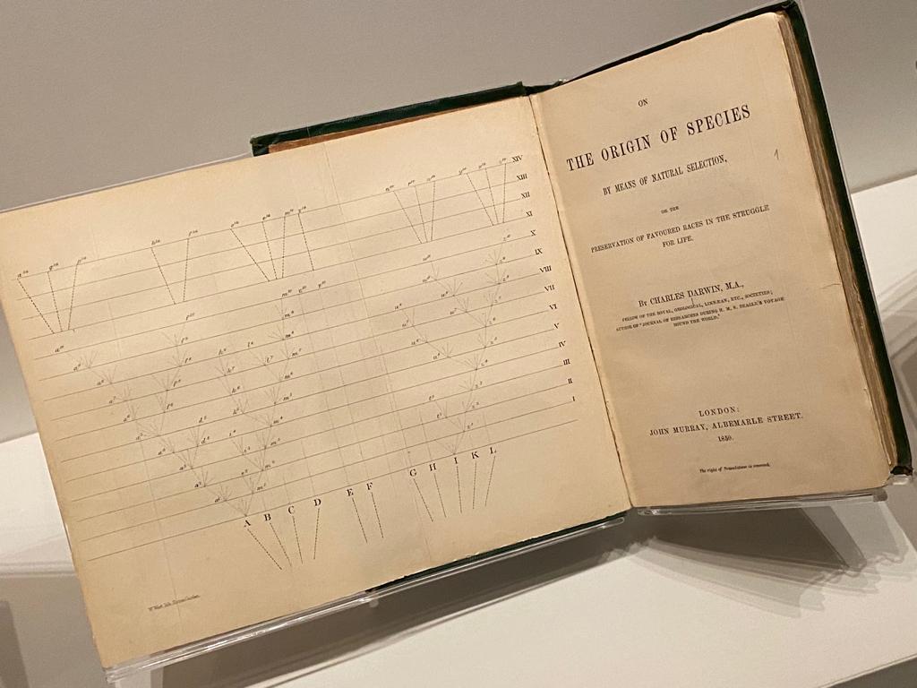 Rafael Dariolli tweet media