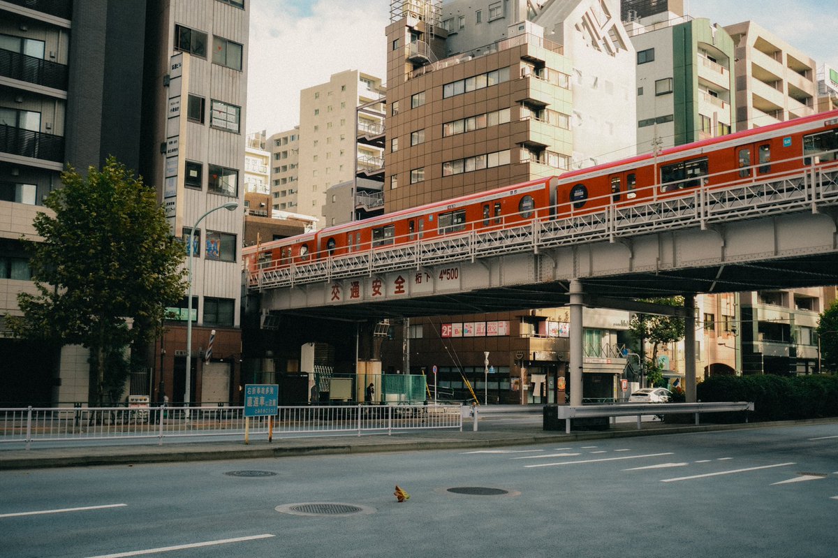 Japón con jamón 📖 tweet media