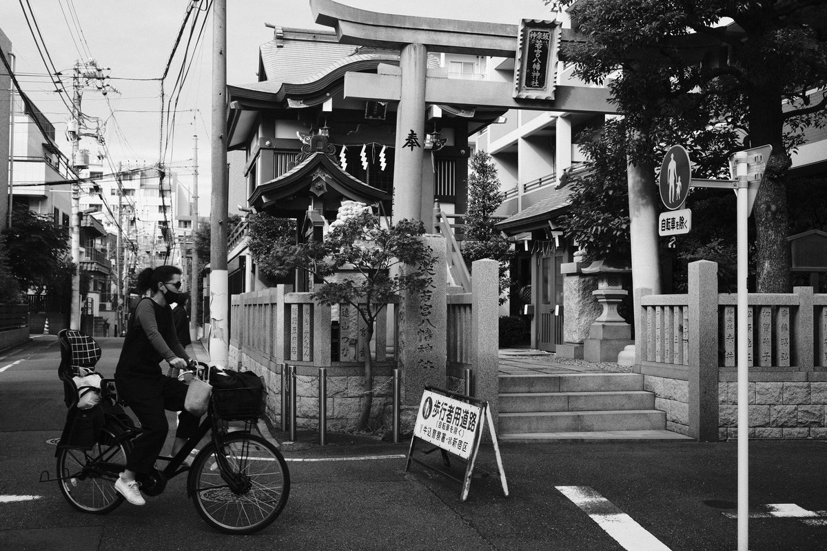 Japón con jamón 📖 tweet media