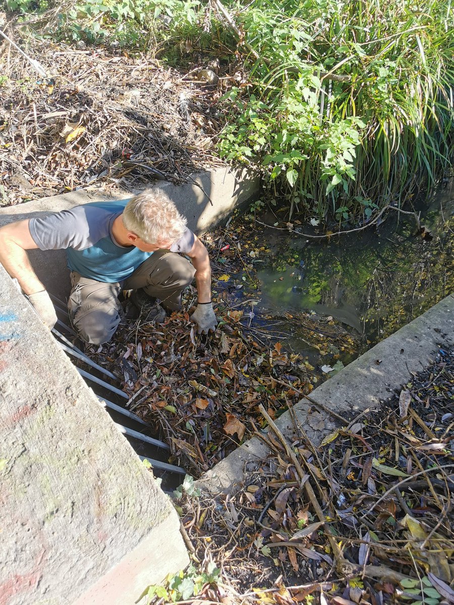 The #volunteers were at Chestnut Field, #E17 completing our bi-monthly visit to ensure the Brook is free flowing by clearing the debris and rubbish that builds up. <a href="/wfcouncil/">Waltham Forest Council</a> <a href="/TCVtweets/">The Conservation Volunteers (TCV)</a> <a href="/CharityOps/">TCV Charity Ops LDN</a>
