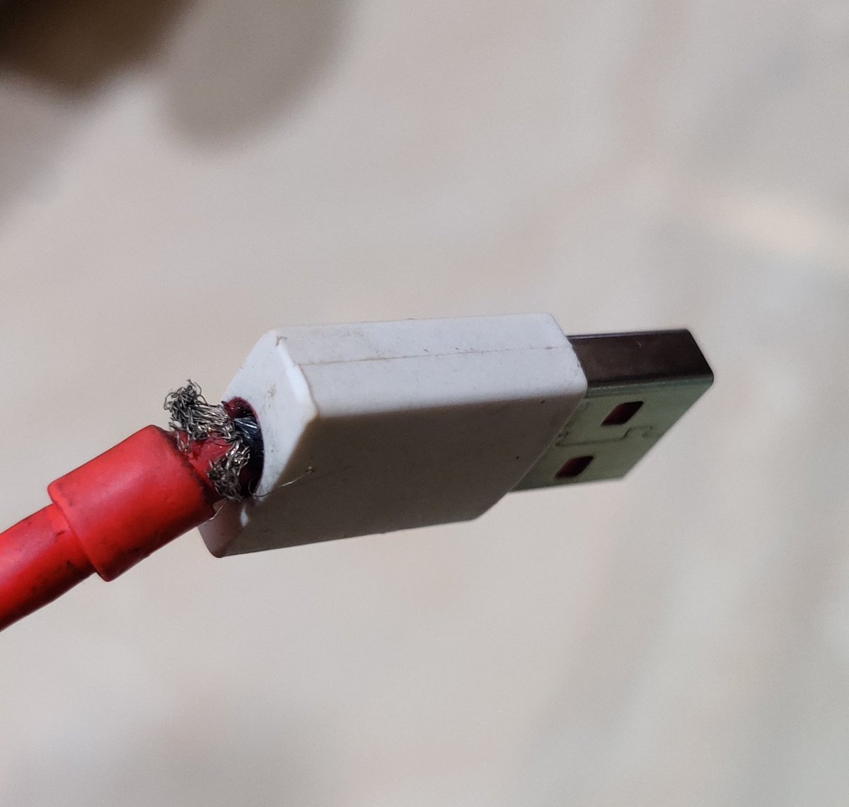PalakMjain's tweet photo. @oneplus  @OnePlus_IN  @OnePlus_Support @ManojjainMunot  Why the one plus charging cables gets crack after sometime of using it? I have purchased three times charging  cables and I and all my family members are facing same issues everytime. https://t.co/NWGAH9hv9a