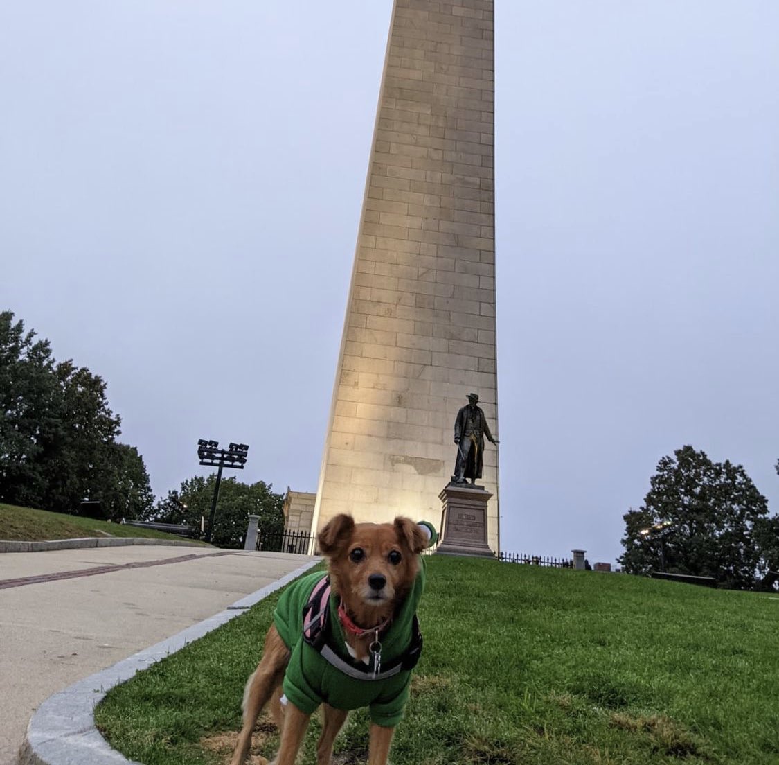 TheFreedomTrail's tweet photo. 🐾 the cutest tour guide that the freedom trail has ever seen 😍

📸: @ adventureswithmuffin on Instagram https://t.co/vWsQSkQmIq