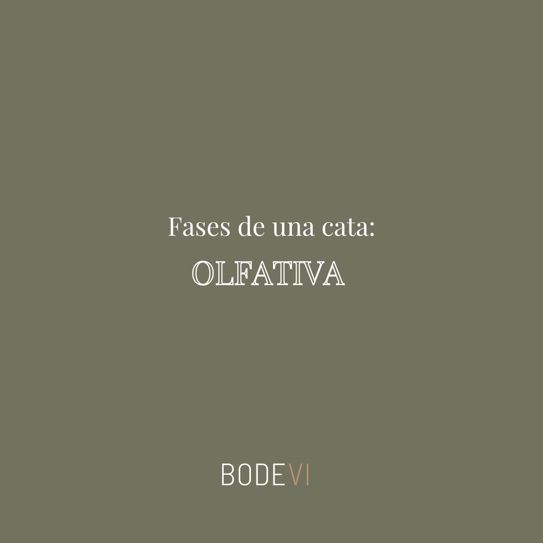 bodevibcn's tweet photo. Tras afinar la #vista en la primera fase de la #cata, ahora es el turno del #olfato, ¡vamos a descubrir los #aromas que se esconden en una #copa de #vino! 👃
.
.
.
.
#bodevi #bdv #onlinewinetasting #winetasting #catasdevino #winesofcatalonia #vicatala #videlaterra #culturadelvi https://t.co/LTIrslzJeo