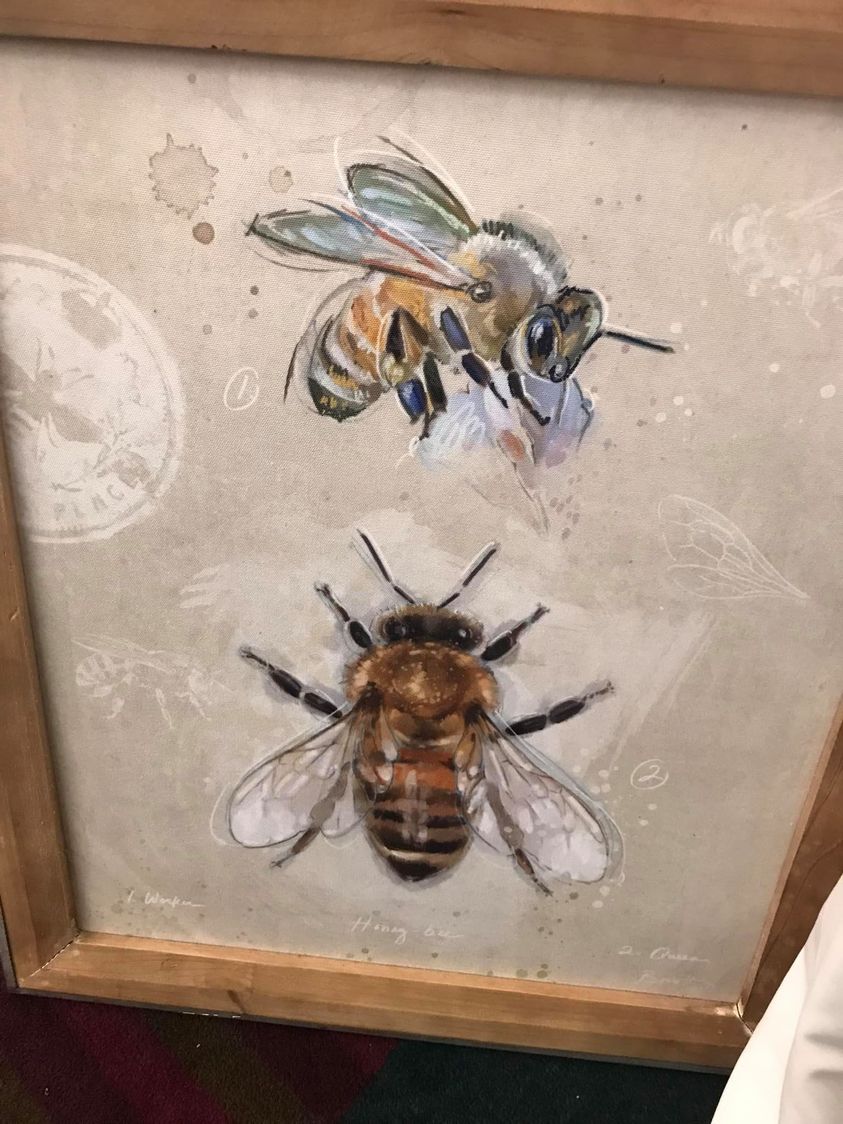 sashawrites's tweet photo. Bought this lovely painting to support the Texas Honey Bee Education Association! I learned so much at the #TexasBeekeepersAssociation convention! #BookResearch #TexasHoneyQueen #BeekeeperInTraining #BeekeepingWriter #Bees #SaveTheBees @htp_books @Bookclubbish #SweeterThanHoney https://t.co/1OqdEH9qCh