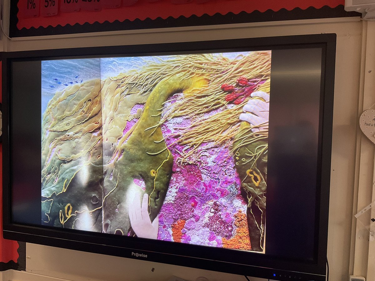 WhetstoneYear6's tweet photo. Year 6 are busy using a range of materials to create their own underwater collages. They have used the illustrations in our class book ‘The Hidden Forest’ for inspiration. https://t.co/h36aB5RfyP