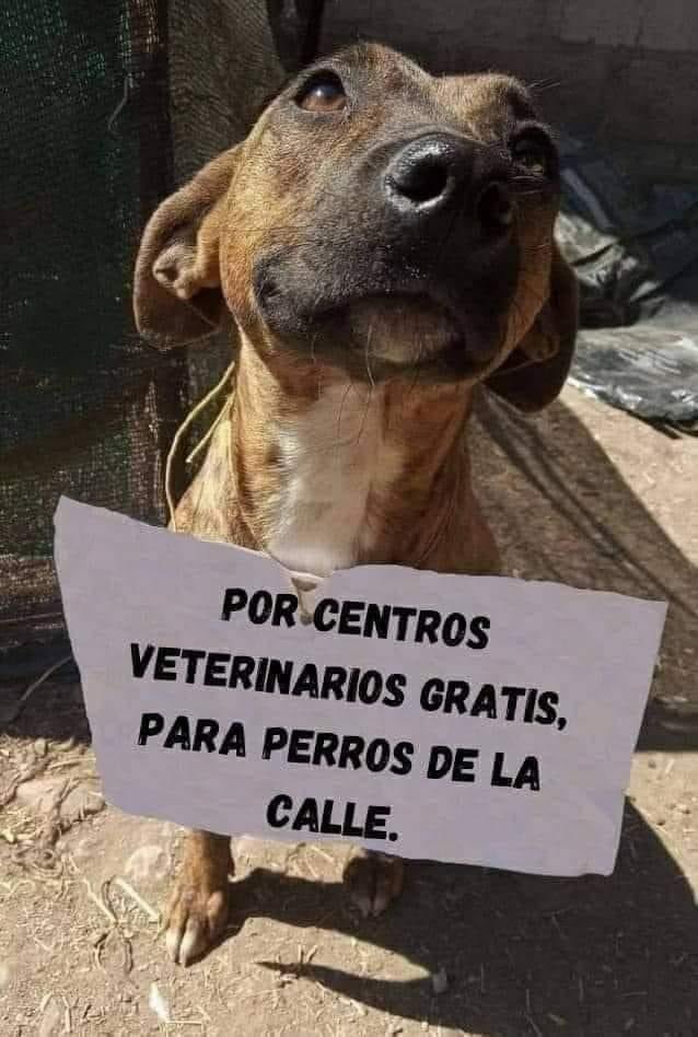 URGE LEGISLAR 🙏🏾