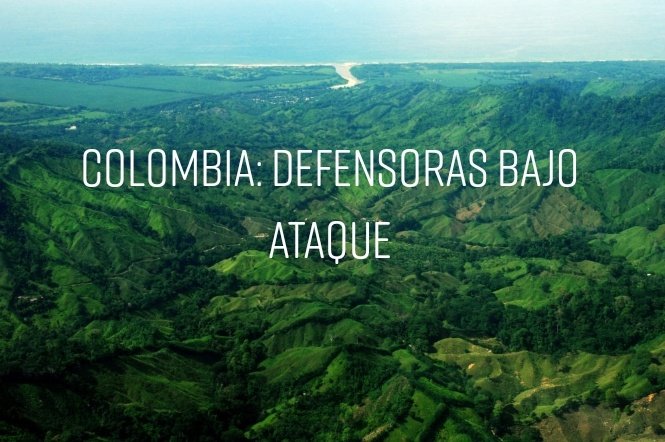 trochandosf's tweet photo. 📍 En #EnfoqueCentroOriente: Colombia: Mujeres Bajo Ataque, un reportaje sobre las agresiones a mujeres líderes sociales en Colombia.
Les invitamos a usar hashtags como:
#MujeresDefensoras
#DefensorasDeLaTierra
#AlertaDefensorasCO
#AlertaDefensorasMX
https://t.co/l7WLH6atCQ https://t.co/QXKjgyzR6t