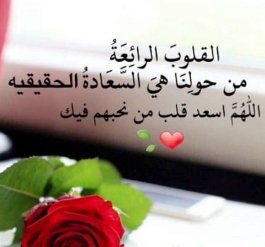 mooon_me's tweet photo. @p1vsa https://t.co/HftQUtlMqE