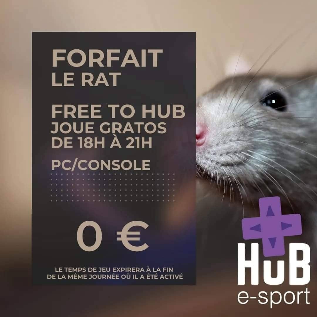 HuB eSport ALBI tweet media