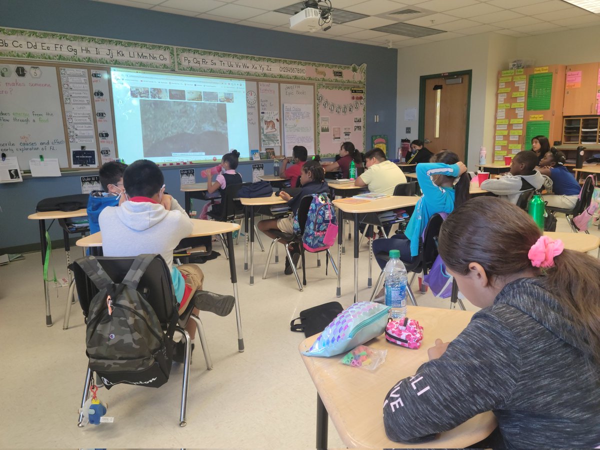 thabmg60art's tweet photo. @MissJeffrey84 class learning about Fosa's and Madagascar during #zoocon from #napleszoo @NaplesZoo @ParksideProud @collierschools https://t.co/I32jslXGf7