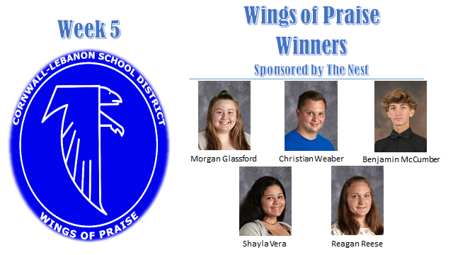 John Shaffer tweet media