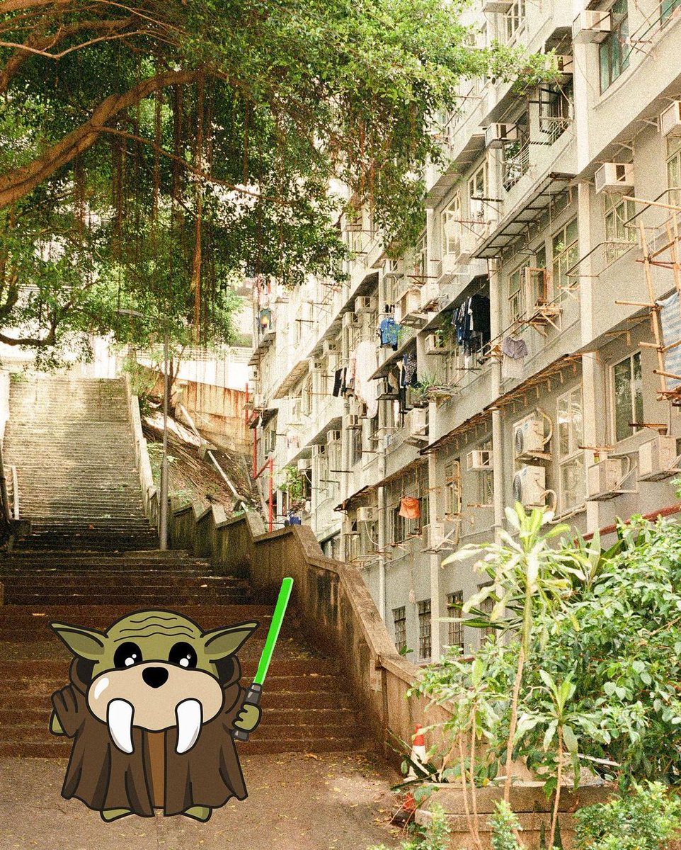 👀SPOTTED! One of our most-wanted legendaries🔮, Baby Walrus Yoda, was seen wandering around with his Lightsaber releasing cute bombs everywhere...💣

🖐️We hope his BWG force is powerful enough to protect him from being kidnapped!

#BWG #BabyWalrusGang #NFT #CNFT #Cardano