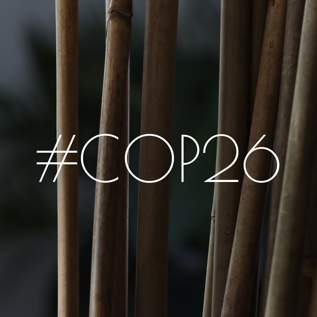 MazDesigns tweet media