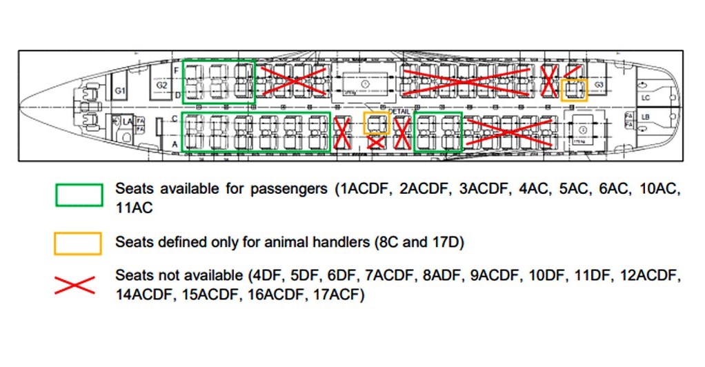 KlasJet's tweet image. What can seem impossible to civil airlines, can be done by a business charter! For example, KlasJet flew Simba, the lion, and Eva, the leopard, home to Tanzania in a business jet cabin!
Talk about tailor-made services, right?
#Klasjet #privatejet
