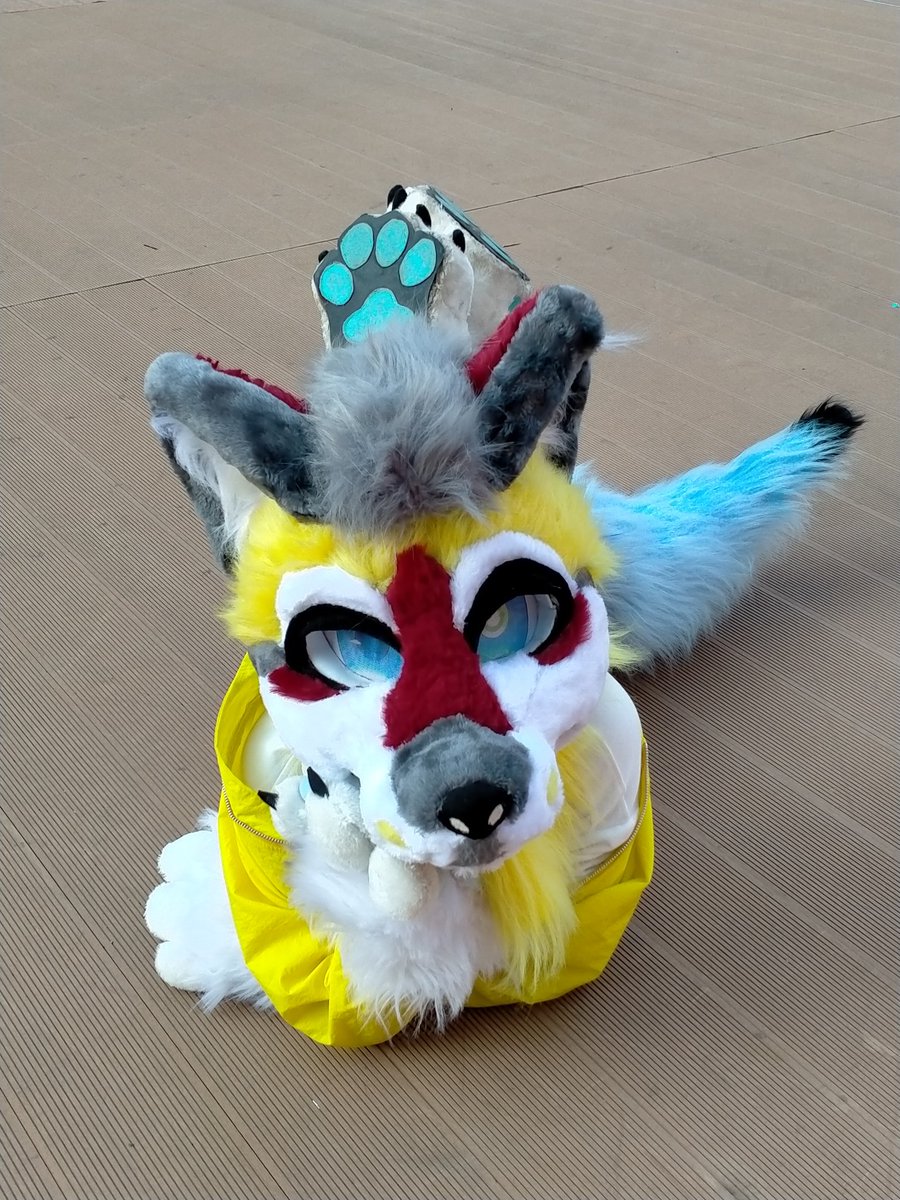 HYMN599526's tweet photo. #furry #Fursuit
Big dog
The name is durian. https://t.co/W1Bf8S2Zwz