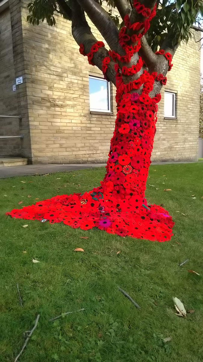 This is lovely road to drive past. Poppies on every lamp post too 🌺❤