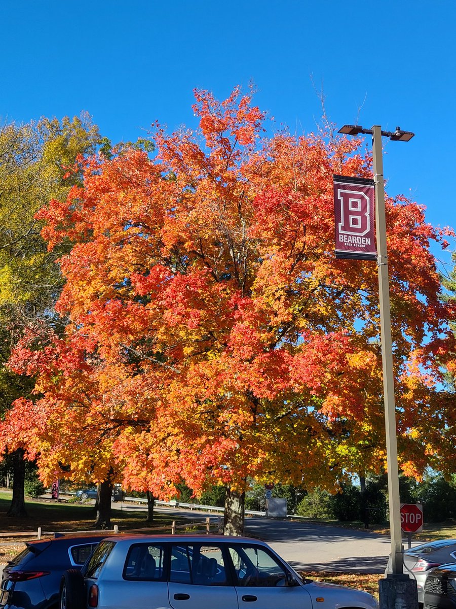 Happy Monday <a href="/bhsdawgs/">Bearden High School</a>! Love how the trees on campus are showing out this week...look up and don't miss it!