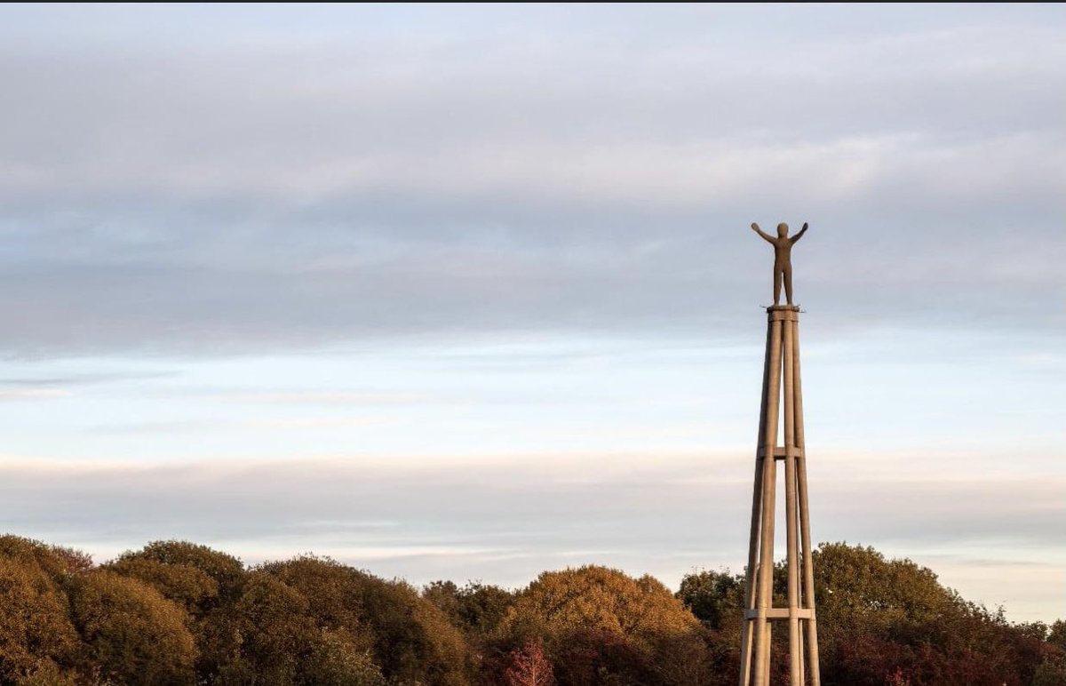 Patterns & Moulds tweet media