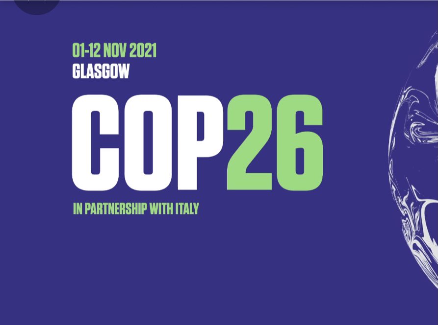 Patterns & Moulds tweet media