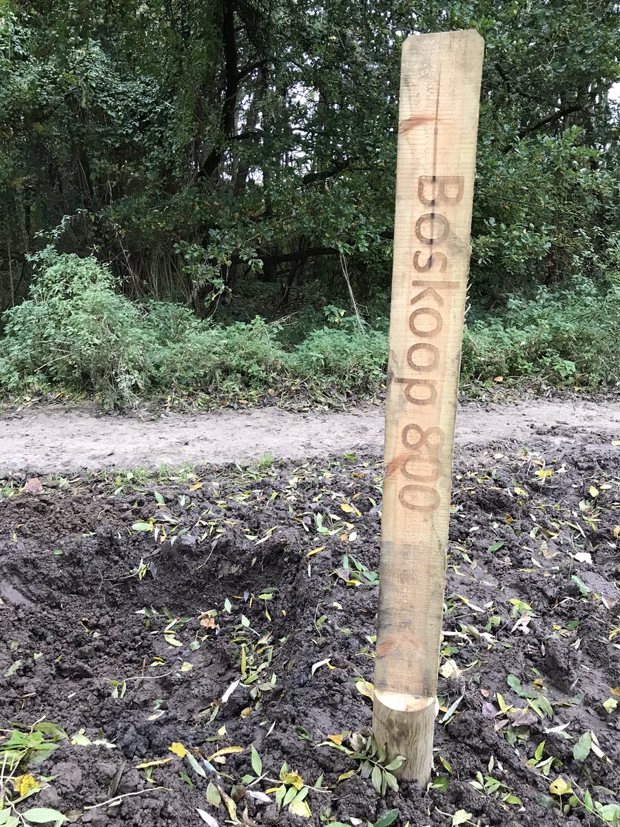 Arie Cees de Jong tweet media