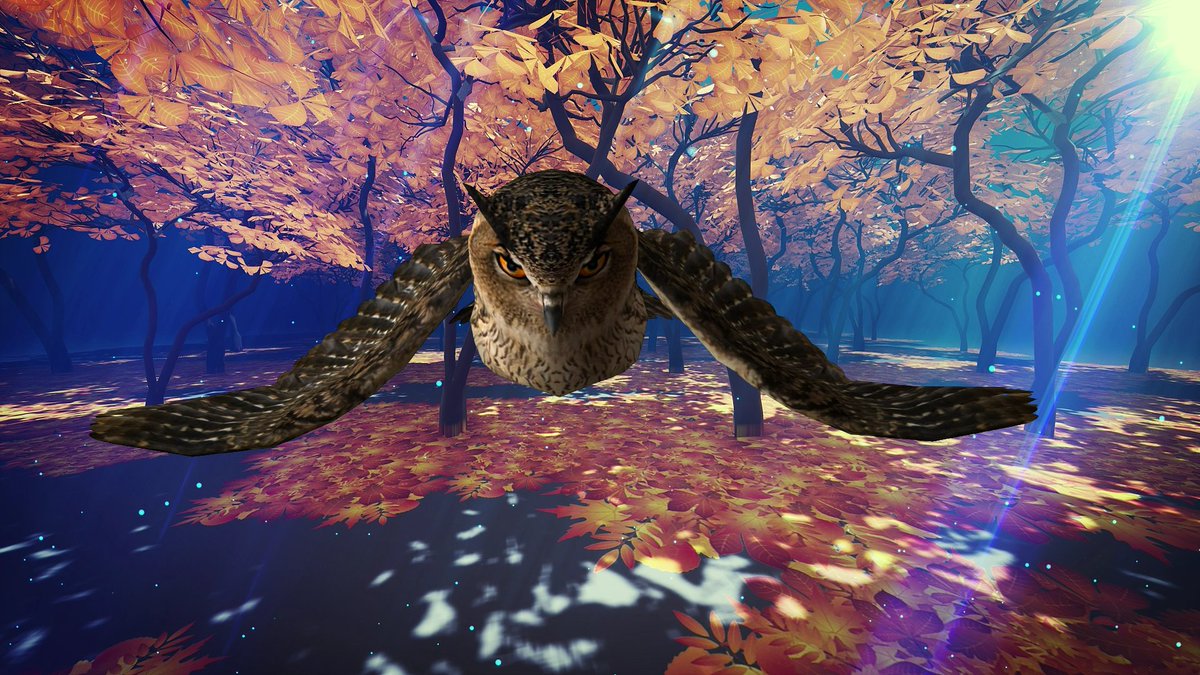 RSD Online tweet media