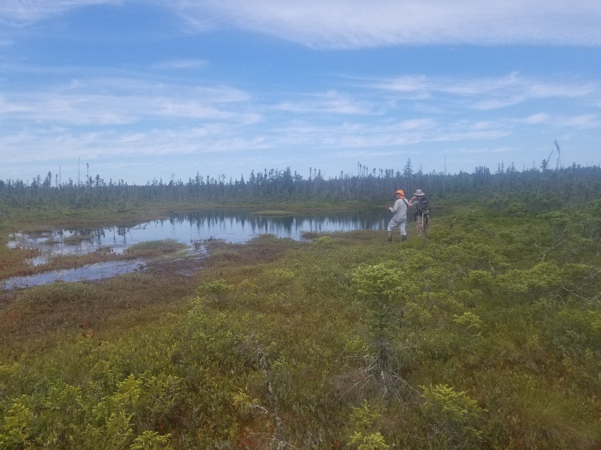 A high-level introduction to our <a href="/NSF/">U.S. National Science Foundation</a> project with Xavier Comas (Florida Atlantic Uni) and Andy Reeve (U. Maine) using geophysics to investigate critical zone controls on peatland processes:
fasttimesonline.co/the-role-of-th…
<a href="/NSG_AGU/">AGU Near-Surface Geophysics</a>