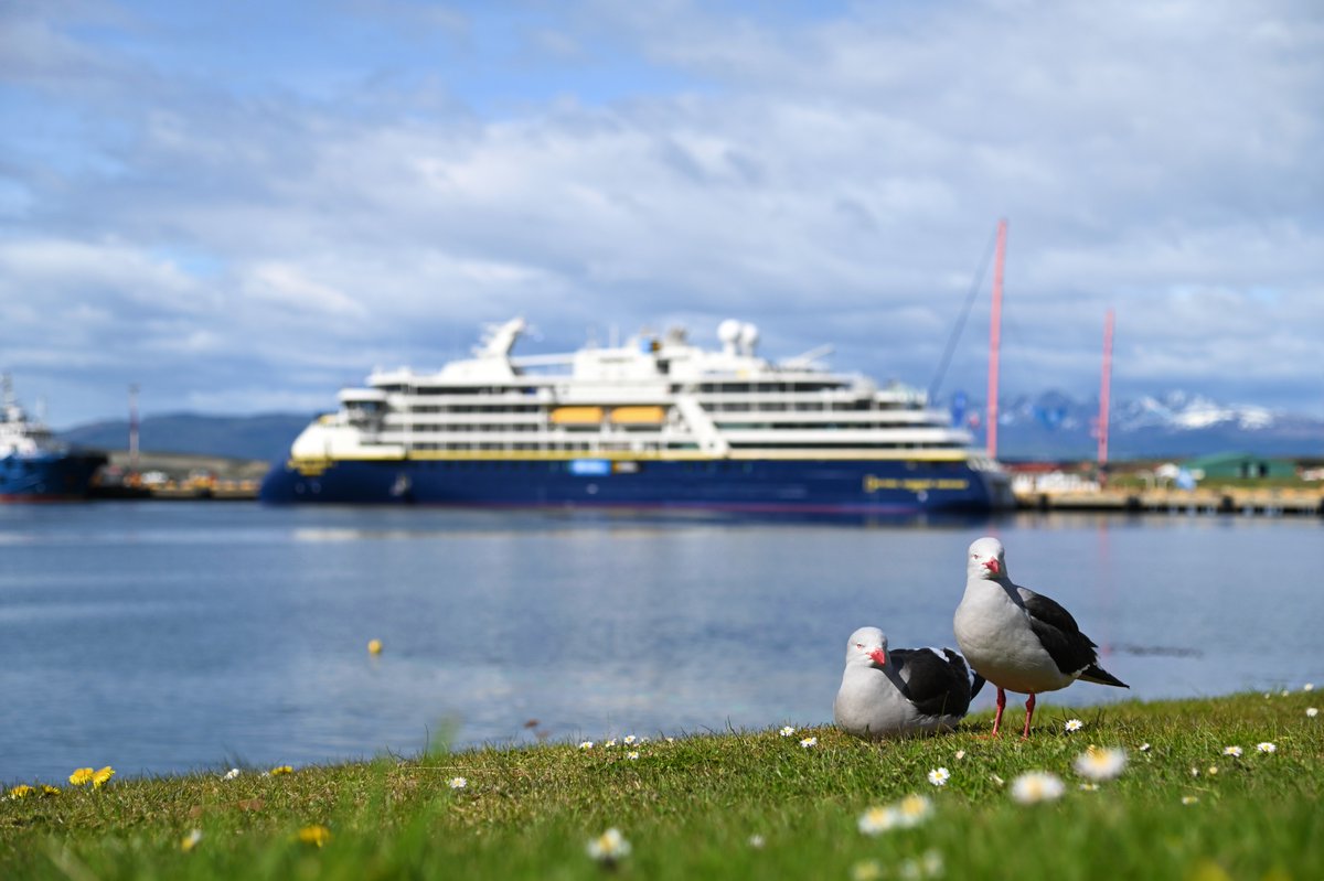 TurismoTDF's tweet photo. Con el arribo del NG Endurance comenzó la temporada de cruceros 2021-2022 en Ushuaia 📷🚢🛳️
#Ushuaia #TemporadaDeCruceros #TierraDelFuego #FinDelMundo #Patagonia #Argentina #NaturalezaAlFin https://t.co/QoZ5oaTblz