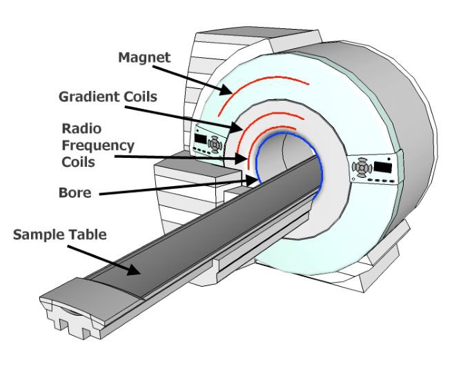 Imaging component. Магнитно-резонансный томограф. Радиочастотные катушки мрт. Магнитно резонансный томограф строение. Строение томографа.