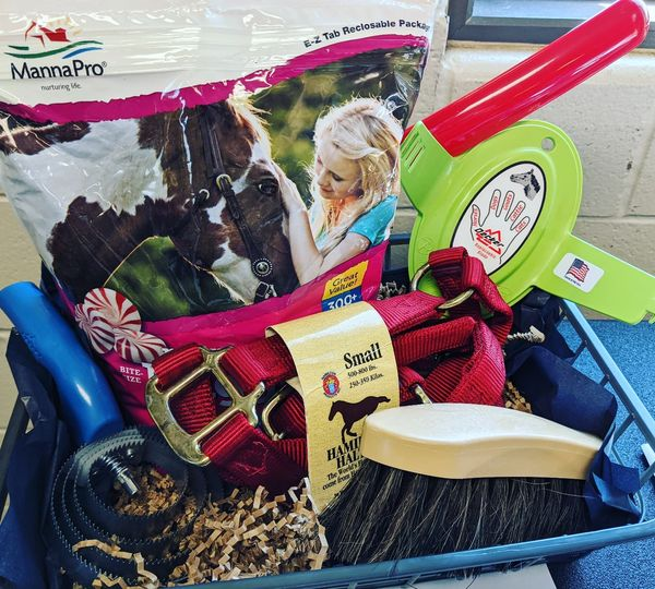 DeckerMfgCo's tweet photo. Can you spot the FOUR Decker items used in this silent auction basket? 
#deckersheddingcomb #deckerbrushes #deckermfgco #currycomb #sweatscraper #bristlebrush #silentauction #fundraiser #horsegrooming #horsecare #donations #supportsmallbusiness #supportlocal #americanmade https://t.co/C6c6MMj1Q3