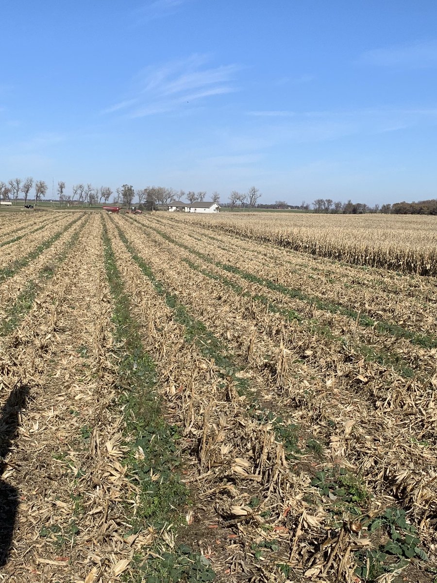 Jason Strand tweet media