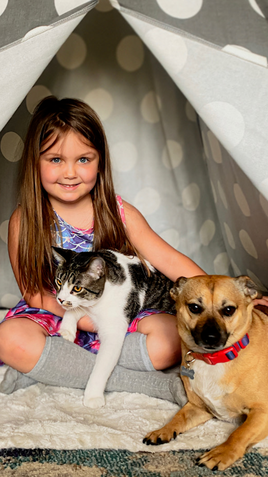 The Dodo On Twitter Rescue Dog Has The Cutest Reaction When His Mom