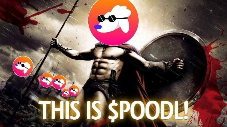 ETHachiUchiha's tweet photo. #POODL ademas de ser dinero, tambien es familia, pues contamos con la mejor comunidad, y tenemos en varios idiomas, entra y conoce todas nuestras redes #poodlparty 
@poodletoken
 https://t.co/sbmzJZqzvS
 #hodlthepoodl #bnb https://t.co/0L4OIp5OCB